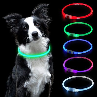 AUAUY LED Dog Collar