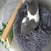 Little Surprise Plush Donut Cave Cuddler Bed for Cats, Puppies and Rabbits view 4