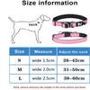 Haoyueer Padded Dog Collar - Reflective for Small, Medium, and Large Dogs (L, Blue) view 2