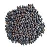 50 g Flora Blossom Juniper Berries | Whole, Dried, Highly Aromatic | Naturally Additive-Free view 3