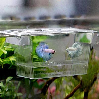 luckxuan Transparent Acrylic Aquarium Breeding and Isolation Box