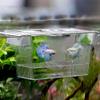 luckxuan Transparent Acrylic Aquarium Breeding and Isolation Box view 1