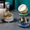 Liemuao Elevated Cat Bowl view 2