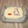 Mr. & Mrs. Panda Cat Bed – Cat Eating Design view 2
