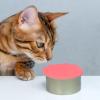 Fowybe Cat Food Can Lid - 3-in-1 Sealed Silicone Lid view 3