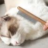 ERBO Wooden Cat Comb view 4