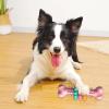 Dental Cleaning Rubber Toy for Puppies view 3