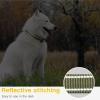 HEELE Reflective Dog Collar view 4