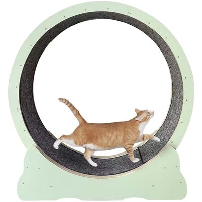 JIADUOFU Cat Exercise Wheel with Teaser and Scratching Board, M-Green
