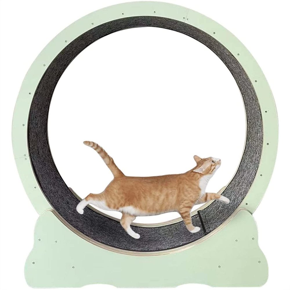 JIADUOFU Cat Exercise Wheel with Teaser and Scratching Board, M-Green