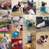 SERUMY Warm Knitted Dog Sweater for Small to Medium Dogs and Cats, Winter Blue Heart, XXL view 2