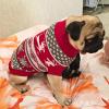 SERUMY Warm Knitted Dog Sweater for Small to Medium Dogs and Cats, Winter Blue Heart, XXL view 3