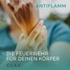 CLAV N12 Antiflamm MSM Boswellia Complex with Ginger, 360 Capsules view 2