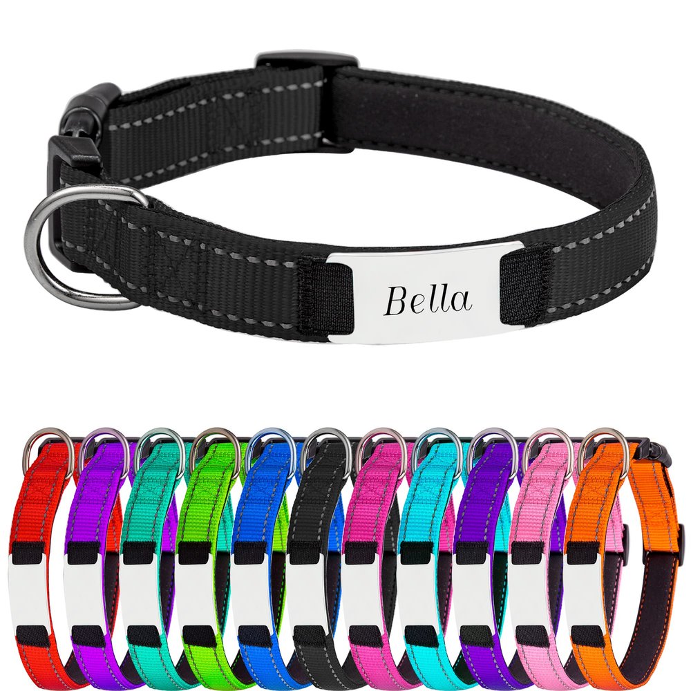 Reflective Nylon Dog Collar for Large Dogs with Soft Neoprene Padding