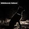 Reflective Nylon Dog Collar for Large Dogs with Soft Neoprene Padding view 3