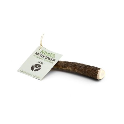 Nosli Whole Deer Antler Dog Chews for Puppies, Size S, 50–75 g, 3-Pack