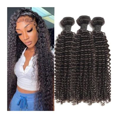 Brazilian Virgin Kinky Curly Human Hair Bundles, 1/3/4 Pieces, Natural Black