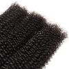 Brazilian Virgin Kinky Curly Human Hair Bundles, 1/3/4 Pieces, Natural Black view 4