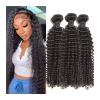 Brazilian Kinky Curly Virgin Human Hair Bundles, 1/3/4 Pieces view 1