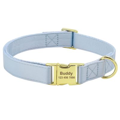 Personalized Engraved Pet Collar with Nameplate for Dogs and Cats, Blue, Size S (XS–L)