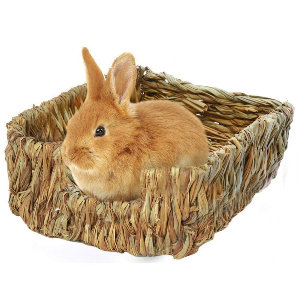 Dous Grass Bed for Small Pets