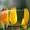 FREAZE Half-Frame Multifocus Reading Glasses, 1.0–3.5, Anti-Blue-Light, Black, +2.5 view 3