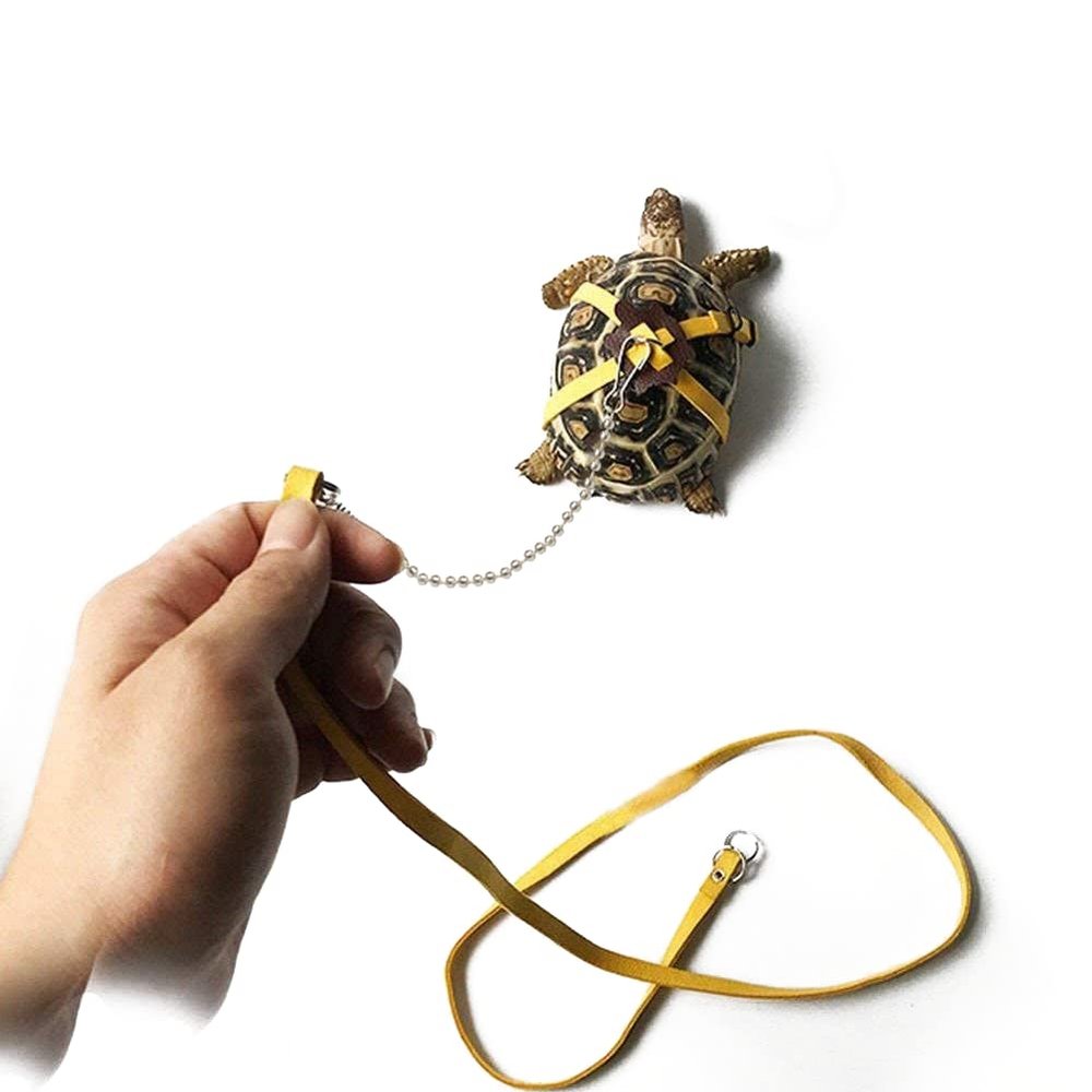 Casiler Leather Harness for Turtles