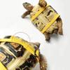 Casiler Leather Harness for Turtles view 2