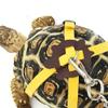Casiler Leather Harness for Turtles view 3