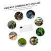 Transparent Acrylic Reptile Breeding Box with Ventilation Holes view 3