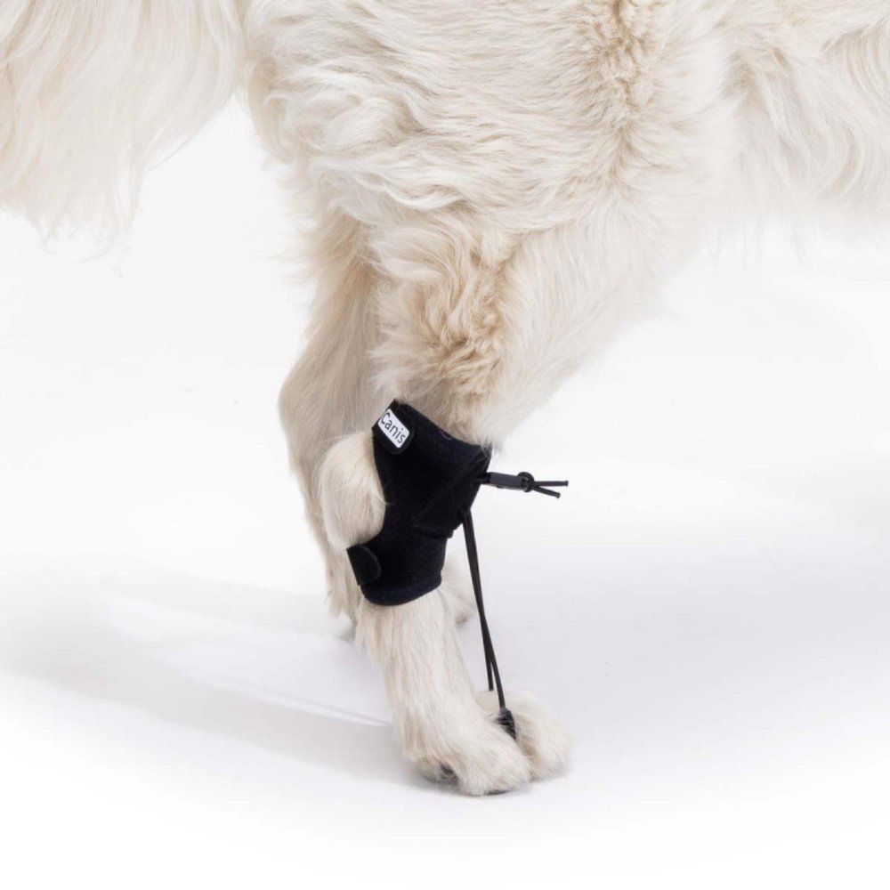 Ortocanis Dog Knuckling Corrector for Myelopathy and Spinal Injuries, XXS 5–7 cm