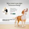 Ortocanis Dog Knuckling Corrector for Myelopathy and Spinal Injuries, XXS 5–7 cm view 3