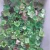 KESHUI 500 g Mixed Gemstone Chips, Aventurine, Agate & Crystals for Chakras view 2