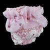 Hygienic Panties for Small Female Dogs, Lace Diaper, Pink, M view 1