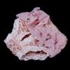 Hygienic Panties for Small Female Dogs, Lace Diaper, Pink, M view 3