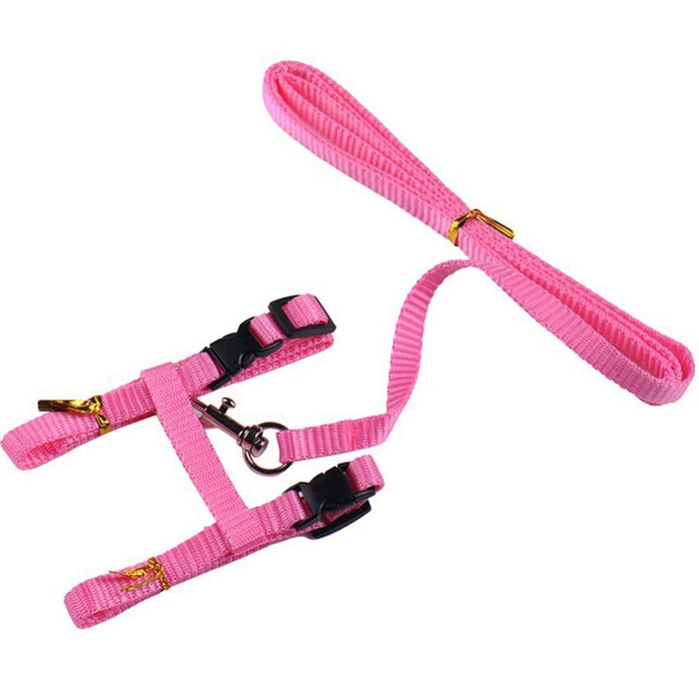 Adjustable Nylon Cat Harness with Leash