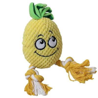 Teething Dog Toy - Cartoon Pineapple