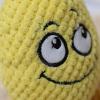 Teething Dog Toy - Cartoon Pineapple view 2