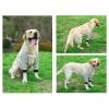 AMONIDA Adjustable Elbow Protector for Dogs, Warm Front-Leg Brace, Winter, XL view 2