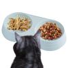 Macaron Elevated Cat Double Bowl view 1