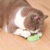 Pomurom Catnip Ball Wall Mount for Cats view 2