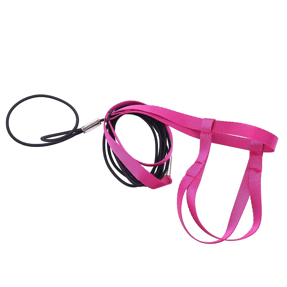Hagsnec Bird Harness and Leash (L)