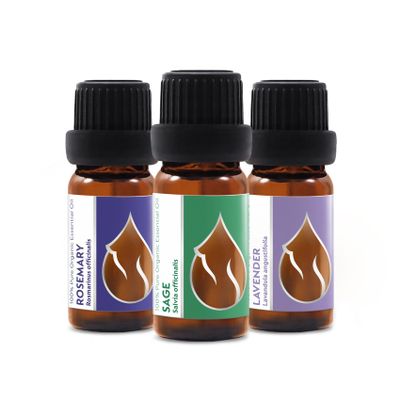 Joy of Life Organic Essential Oil Set, 3-Piece | 3 x 10 ml