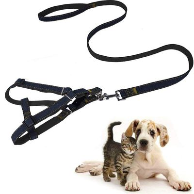 No-Pull Dog Harness and Leash Set, Large, Red/Gray