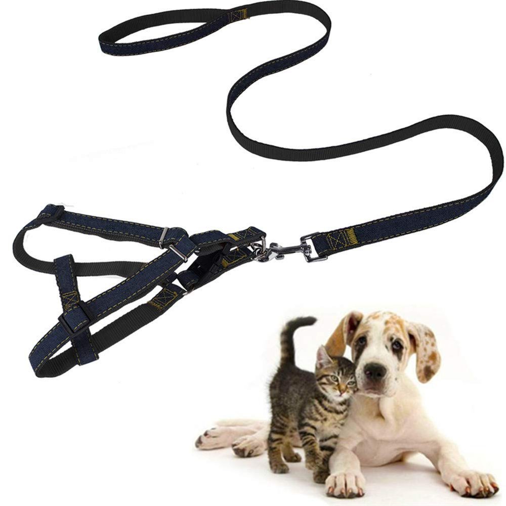 No-Pull Dog Harness and Leash Set, Large, Red/Gray