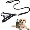 No-Pull Dog Harness and Leash Set, Large, Red/Gray view 1