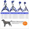 No-Pull Dog Harness and Leash Set, Large, Red/Gray view 4