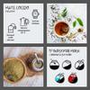 El Pajaro Limón Yerba Mate Tea Bags, 25 x 3 g (75 g) view 4