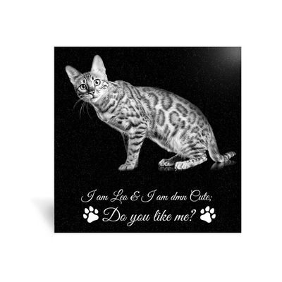 Personalized Pet Memorial Garden Stone, Laser-Engraved Black Granite