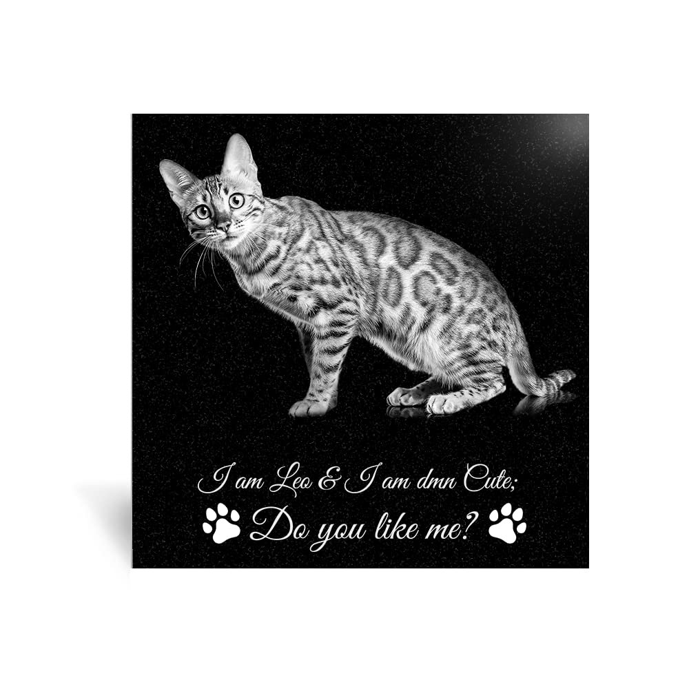 Personalized Pet Memorial Garden Stone, Laser-Engraved Black Granite